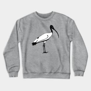 Ibis Crewneck Sweatshirt